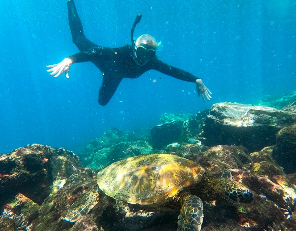 Snorkeling with a sea turtle at Pinzón