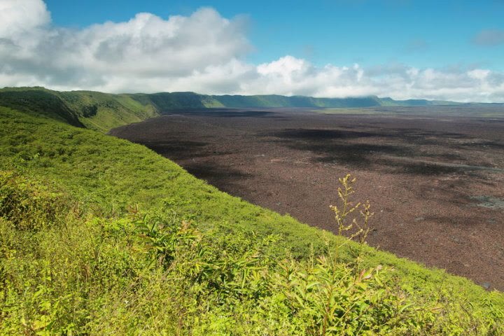 The Sierra Negra caldera