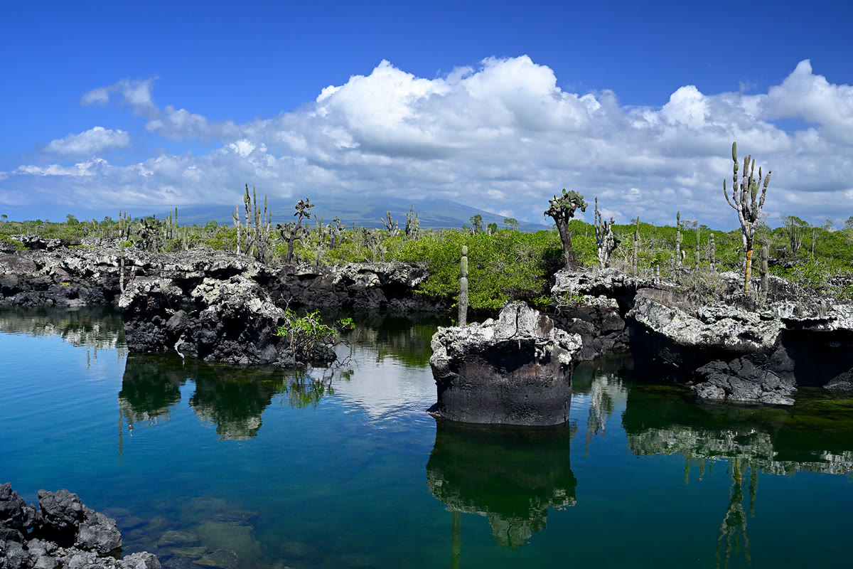 Emerald water channels and lava formations at Los Túneles